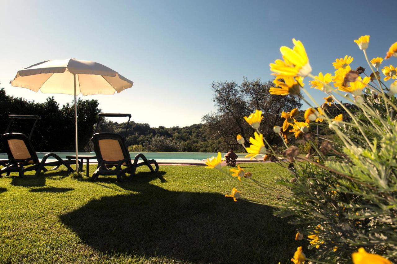 Villa Poggio Sasseta Montiano  Exterior foto